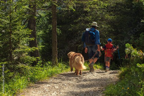 Father, son and their dog walking in a summer forest