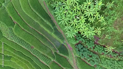 Beautiful Rice Terraces from above in Thanh Hoa, Vietnam  photo