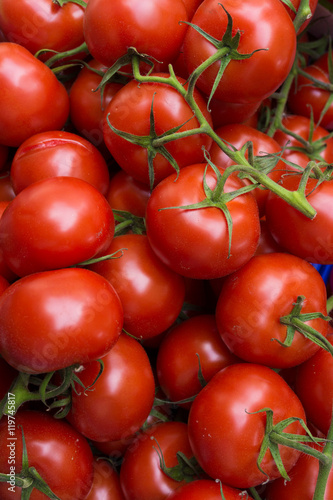 red tomatoes background. Group of tomatoes