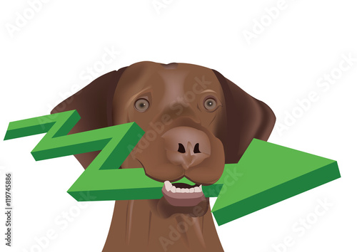 cane da caccia con freccia