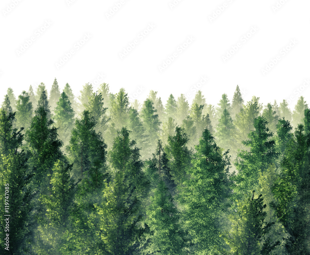Digital Illustration 3d Rendered forest