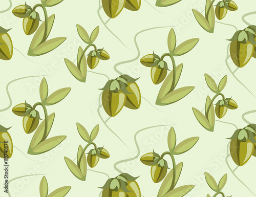 seamless pattern of jojoba