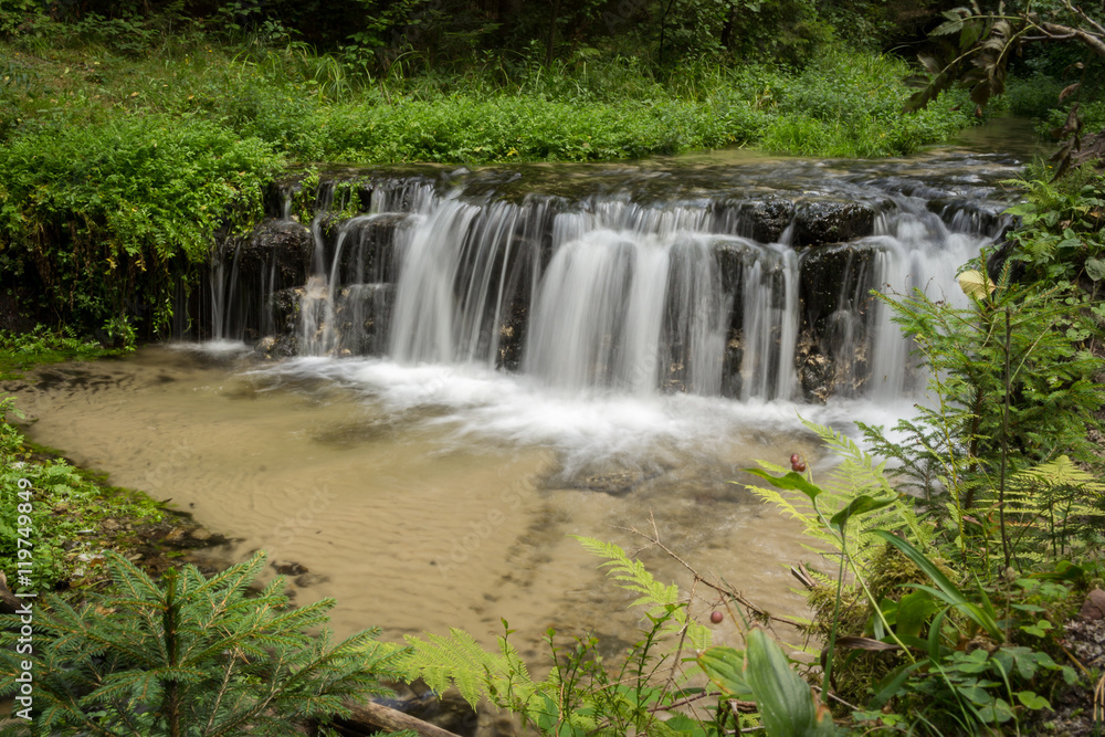 Szumy na Tanwi (Cascades on Tanew River) - nature reserve in Roztocze, Poland