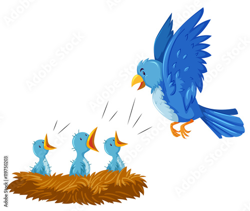 Bird and its babies in the nest