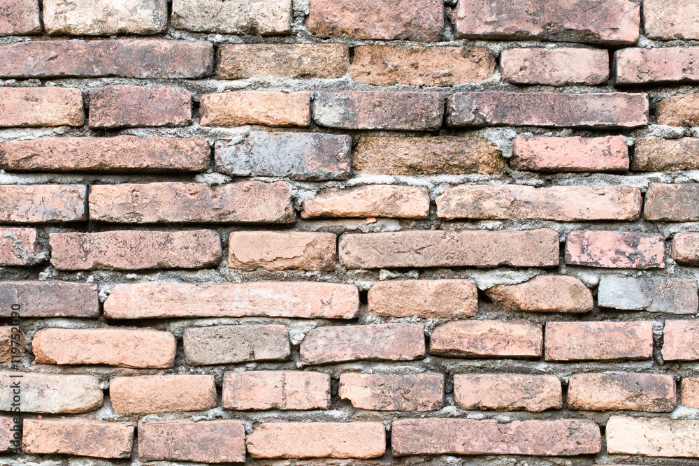 Obraz premium Moldy brick wall background