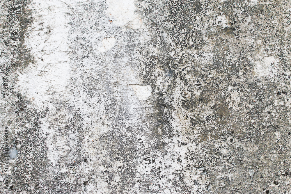 Obraz premium white concrete wall texture