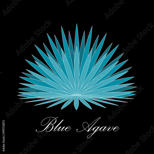 Blue agave or or tequila agave plant. Vector illustration for label, poster, signboard.