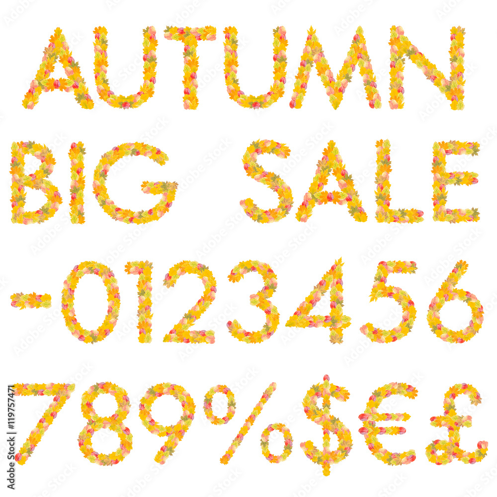 Alphabet and Symbol from Autumn Leaves Alphabet and Symbol from Autumn Leaves