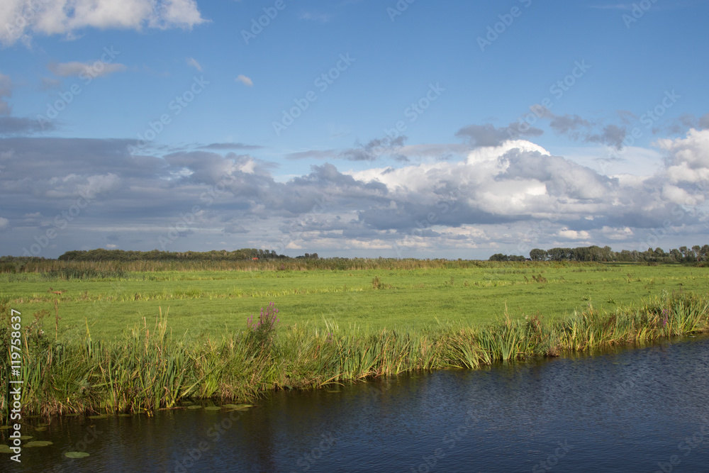 Typical Dutch green landscape with cloudy sky 