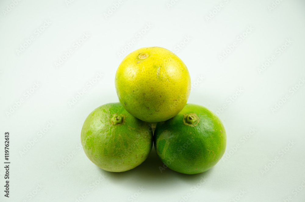 Fresh Lime Fresh Lime