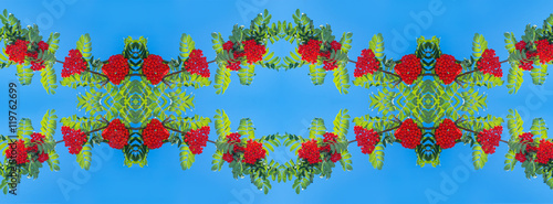 panorama mountain ash