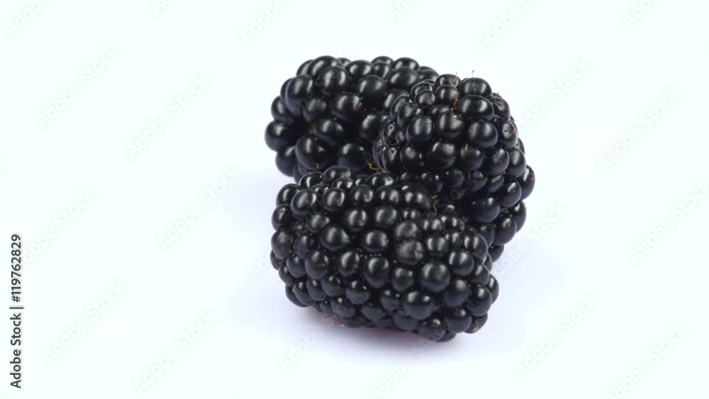 Two fresh blackberry. White. Rotating. Close up Two fresh blackberry. White. Rotating. Close up