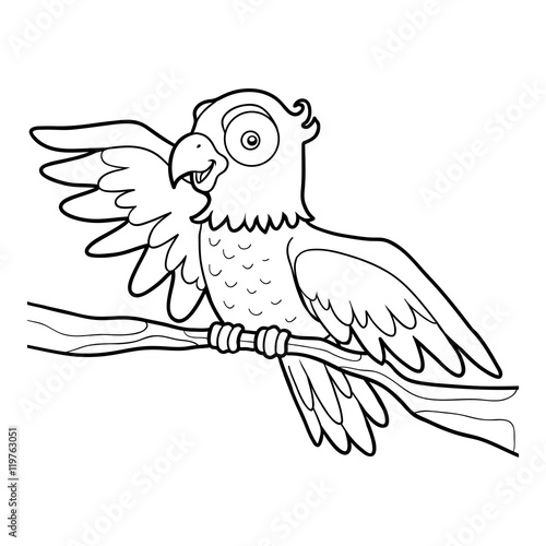 Coloring book, Parrot