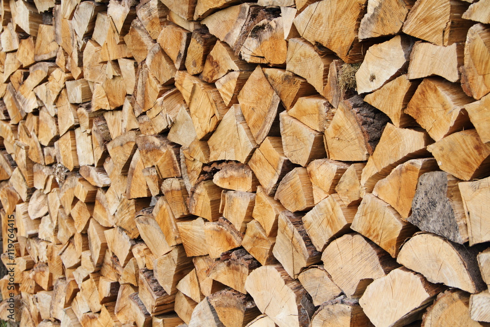 frischer Stapel Holz frischer Stapel Holz