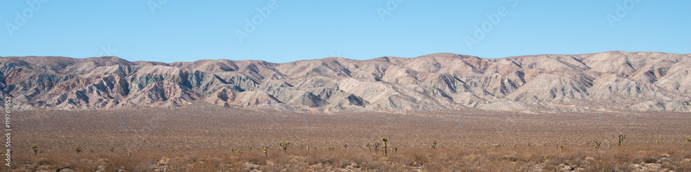 Mojave Desert