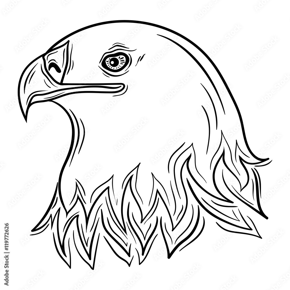 Obraz premium Eagle head