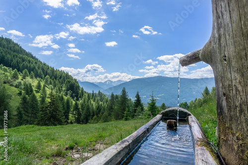 Terenten Südtirol 10  Wassertrog Brunnen auf einer Almwiese.