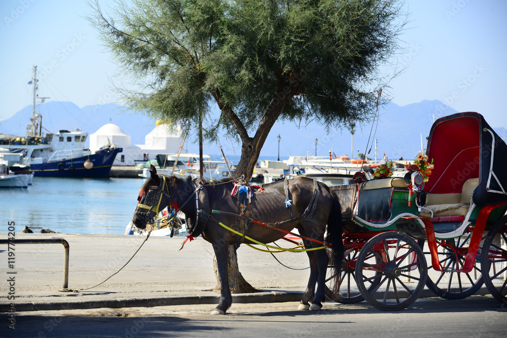 Greek Island of Aegina traditional horse car