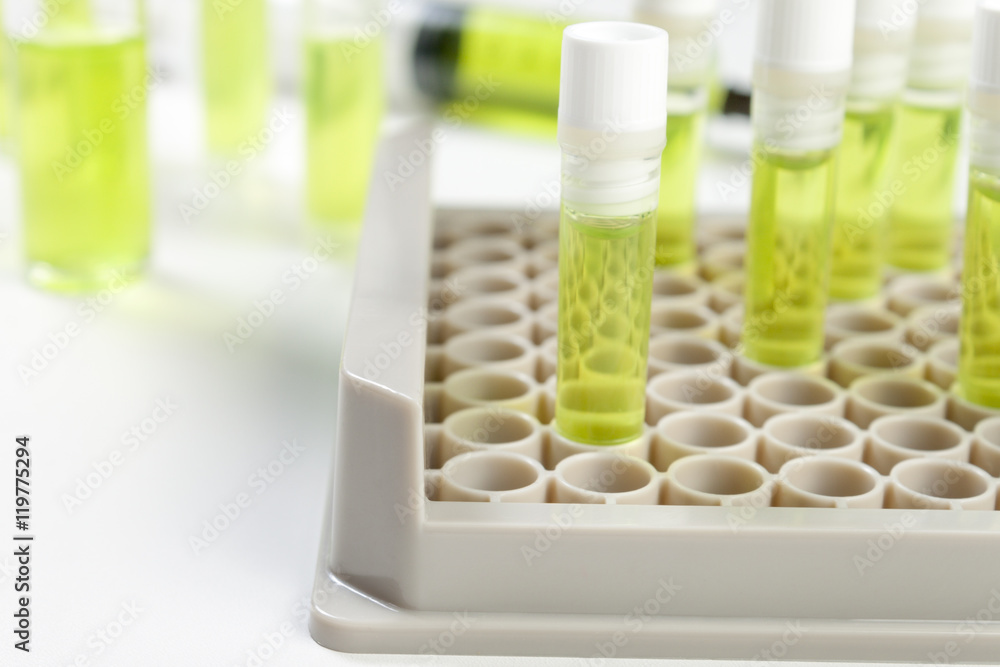 Vials of green fluid on a laboratory worktop Vials of green fluid on a laboratory worktop