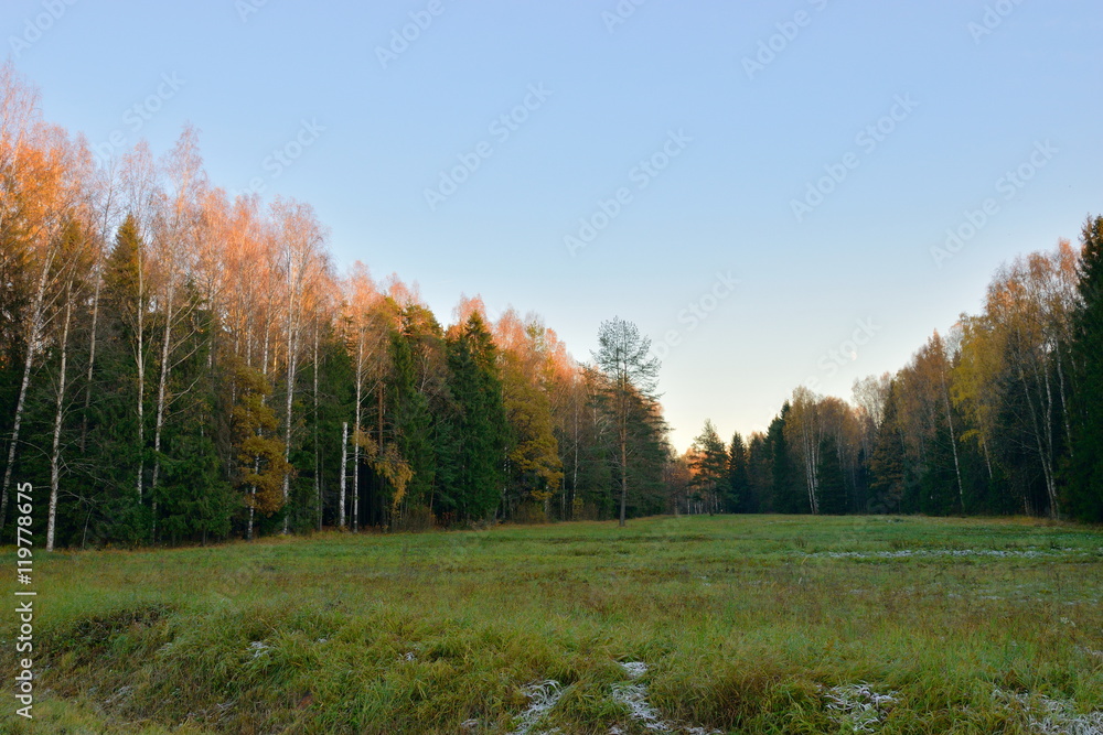 Field in the Park at sunset in late autumn. Pavlovsk