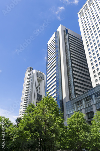 東京 品川 高層ビル街 快晴 青空 緑 見上げる