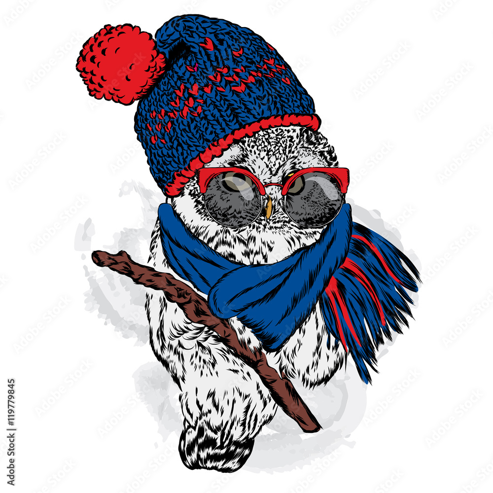 Cute owl wearing a hat and scarf. Vector illustration for greeting card ...