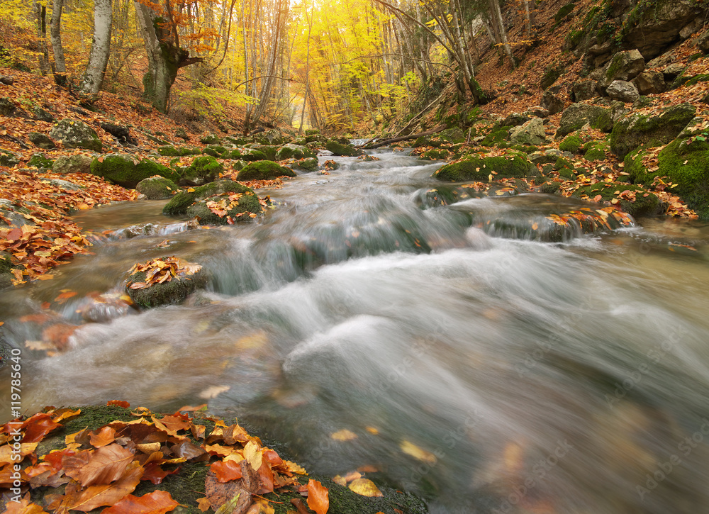 Autumn nature landscape Autumn nature landscape