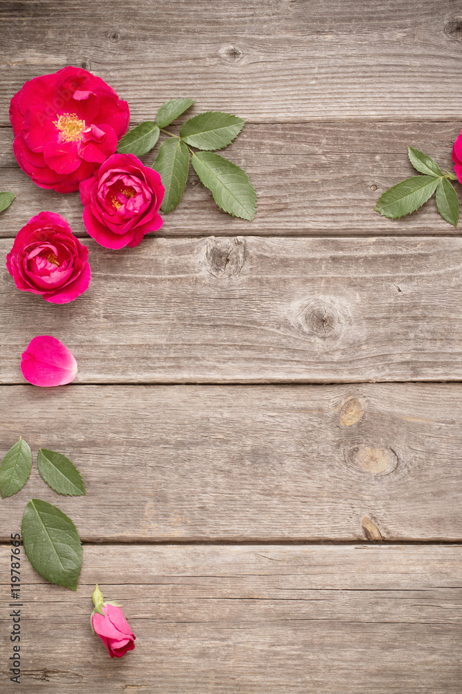 red rose on wooden background red rose on wooden background
