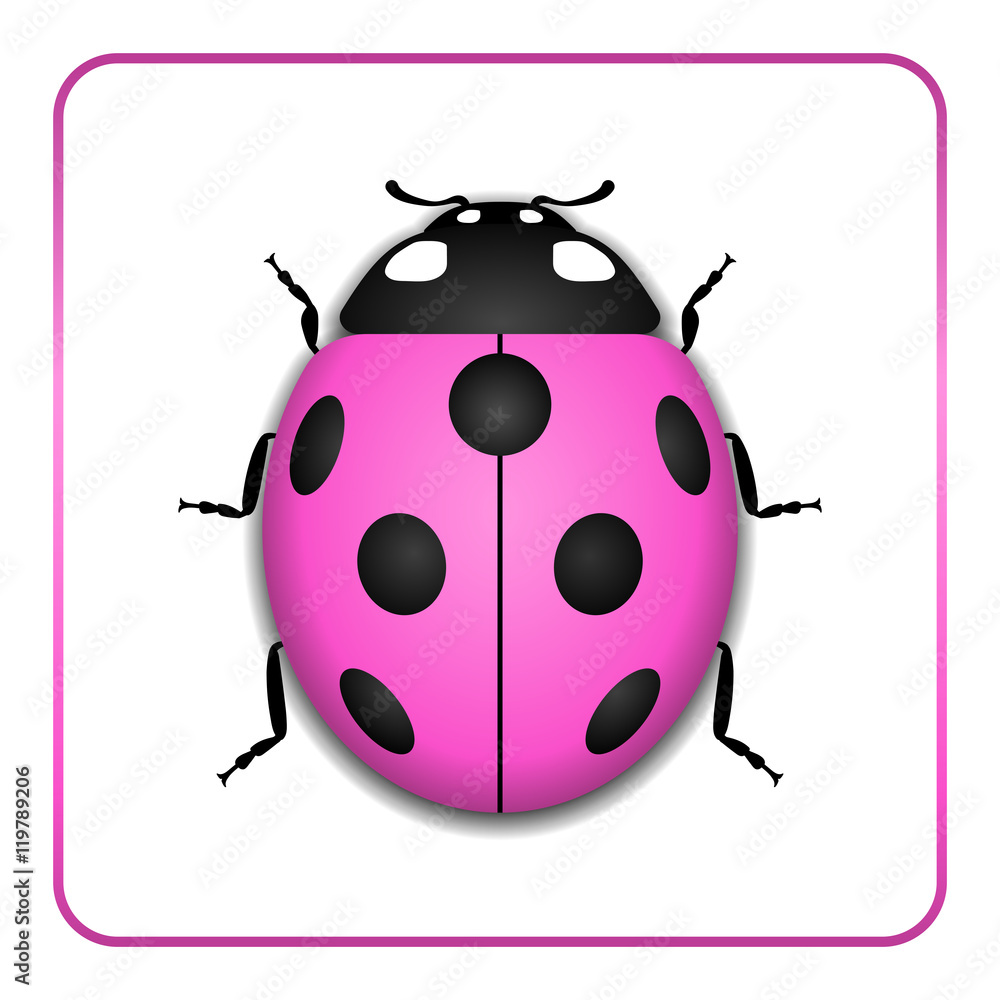 Obraz premium Ladybug small icon. Pink lady bug sign, isolated on white background. 3d volume design. Cute colorful ladybird. Insect cartoon beetle. Symbol of nature, spring or summer. Vector illustration