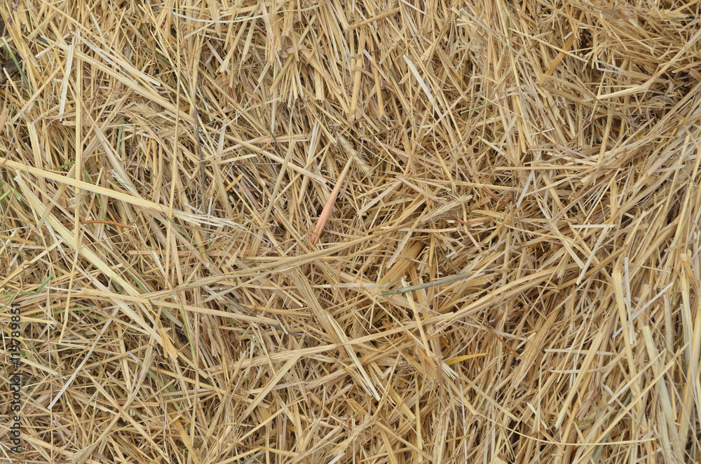 Straw stacks. Farming backgrounds and textures Straw stacks. Farming backgrounds and textures