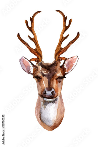 Deer - Front View