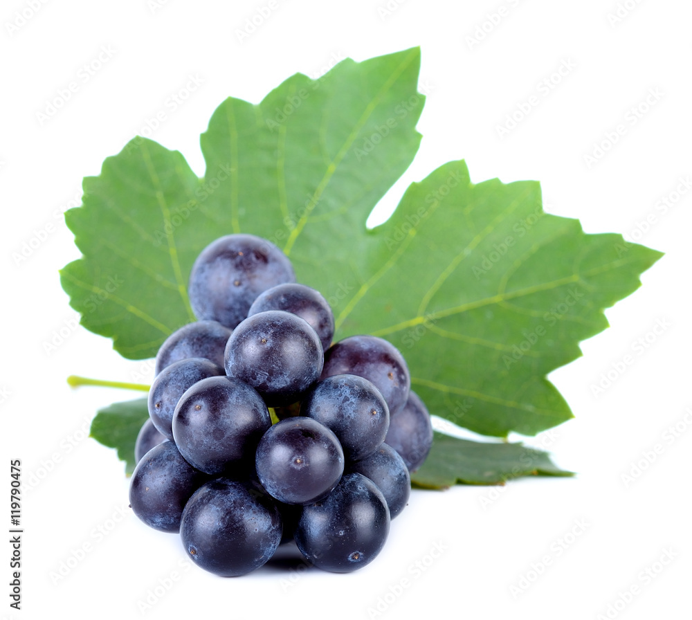 Grape with leaf isolated on the white background Grape with leaf isolated on the white background