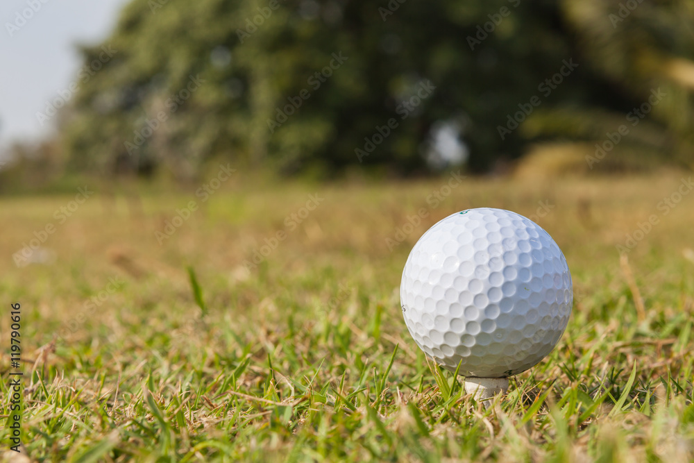 Fototapeta premium Golf ball