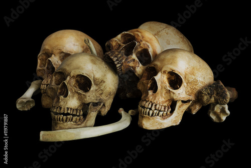 Pile of skulls and bones, isolated on black background
