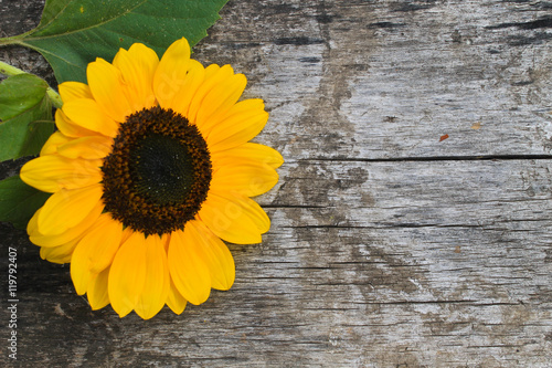 Fototapeta Naklejka Na Ścianę i Meble -  Decorative sunflower on wooden background