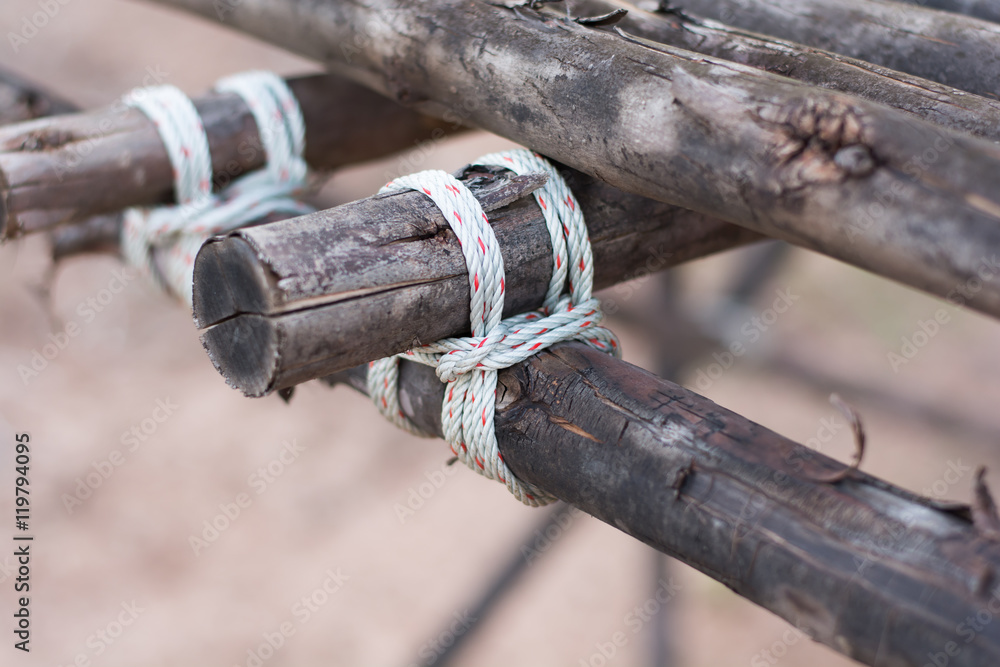 Rope tied to a tree... Rope tied to a tree...