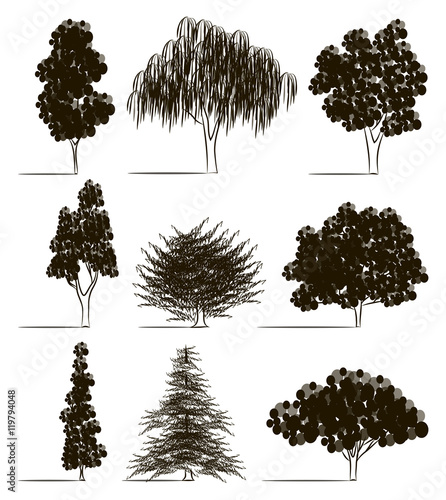 Trees sketch set