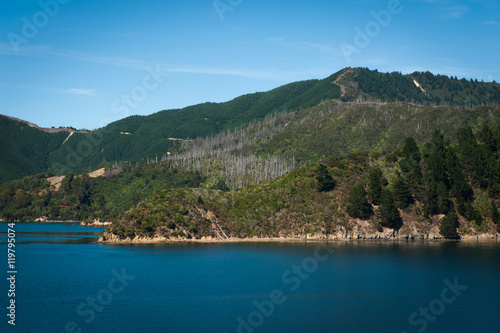 Marlborough Sounds seen from ferry from Wellington to Picton, New Zealand © jiggotravel