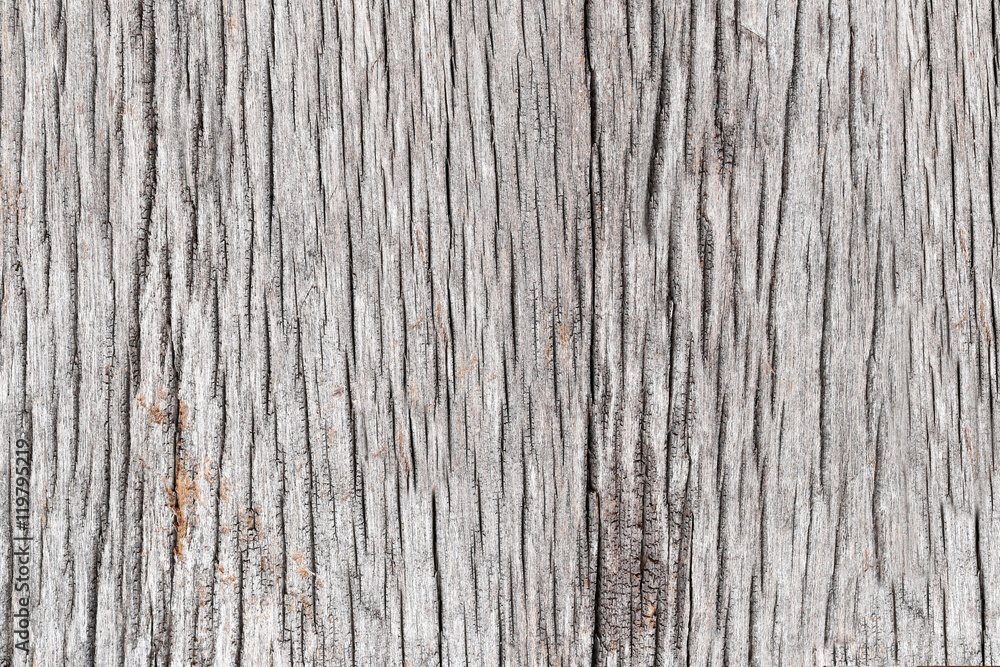 Old wood texture.