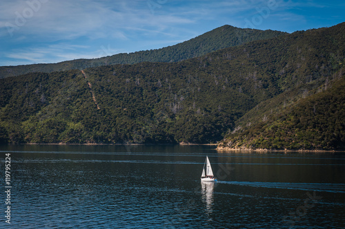 Fototapeta Naklejka Na Ścianę i Meble -  Marlborough Sounds seen from ferry from Wellington to Picton, New Zealand