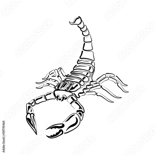Black and white Scorpion for tattoos, zodiac sign