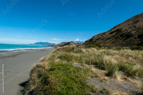 Rugged coastline of Kaikoura