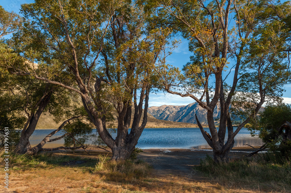 Lake Pearson / Moana Rua Wildlife Refuge located in Craigieburn Forest Park in Canterbury region, South Island of New Zealand Lake Pearson / Moana Rua Wildlife Refuge located in Craigieburn Forest Park in Canterbury region, South Island of New Zealand