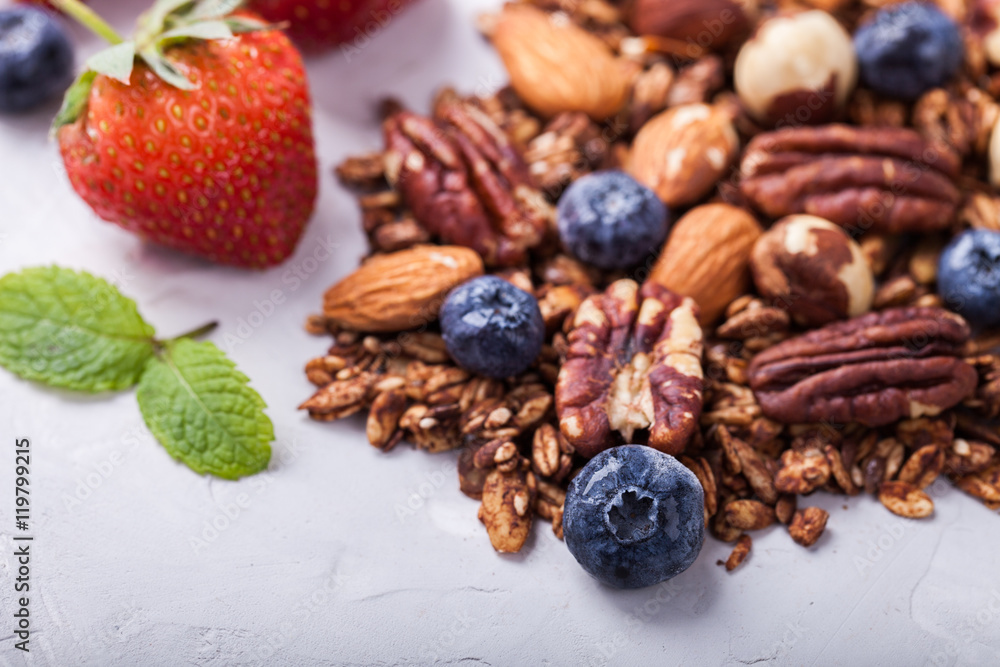 Granola with nuts,Goji berries, honey,and berries,scattered on the table.Healthy dry Breakfast.selective focus. Granola with nuts,Goji berries, honey,and berries,scattered on the table.Healthy dry Breakfast.selective focus.