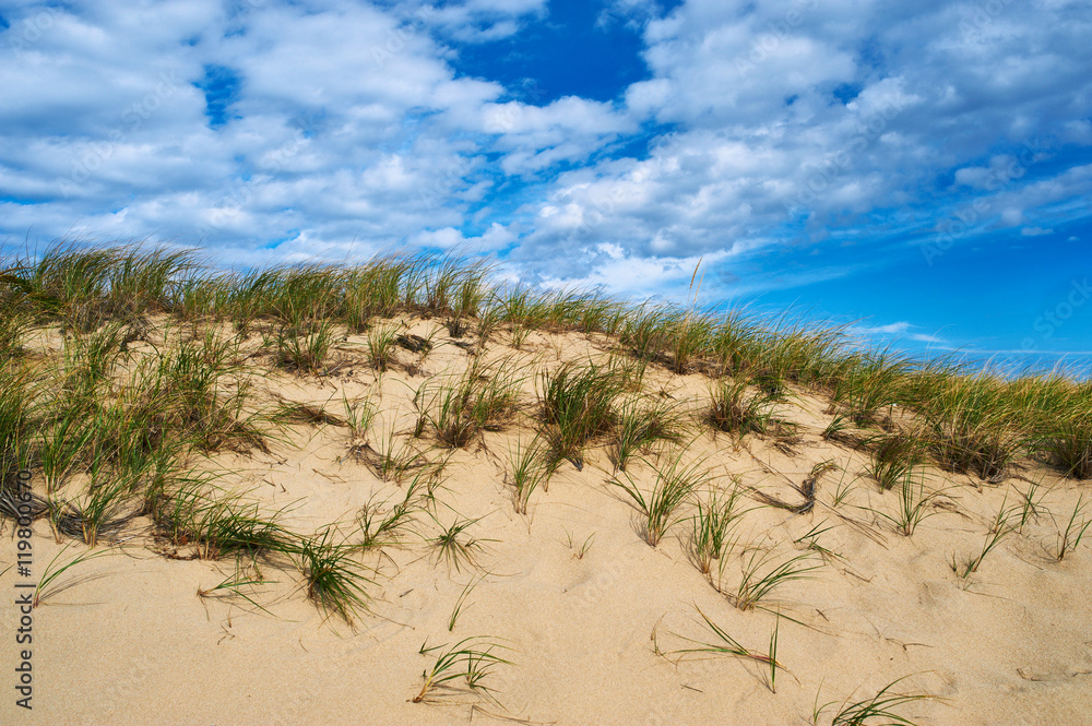 Landscape with sand dunes at Cape Cod Landscape with sand dunes at Cape Cod