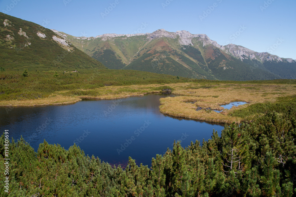 mountain lake in high tatras summer landscape
