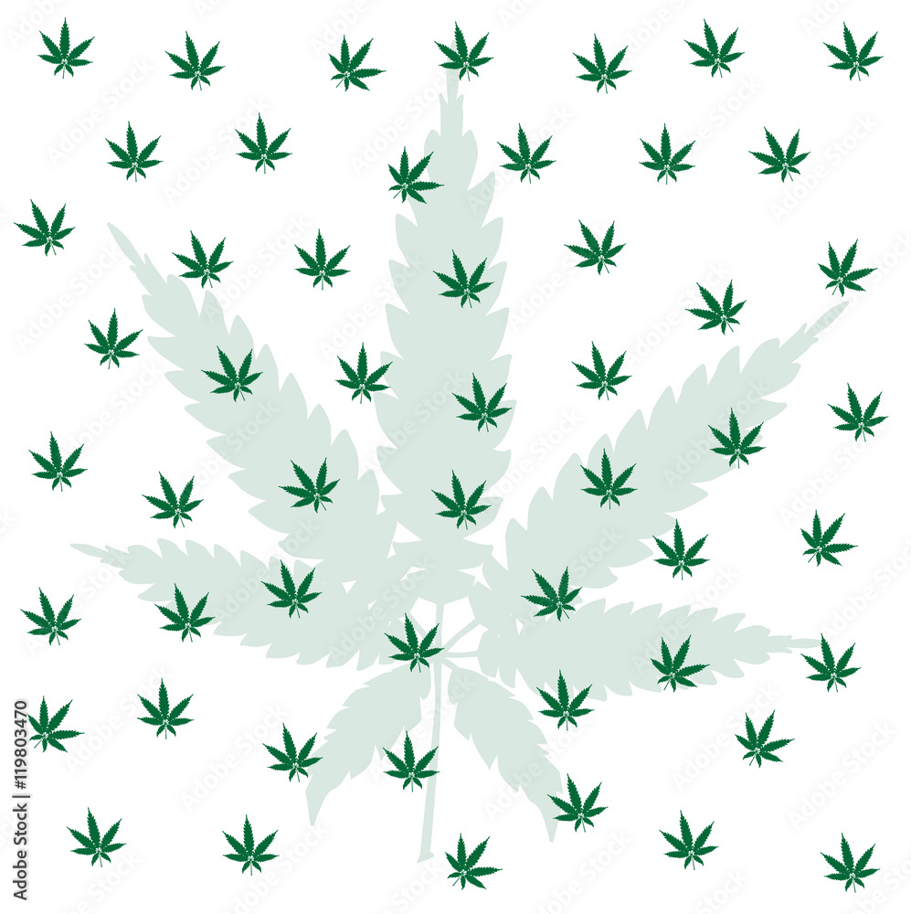 Cannabis Leaf Background Cannabis Leaf Background