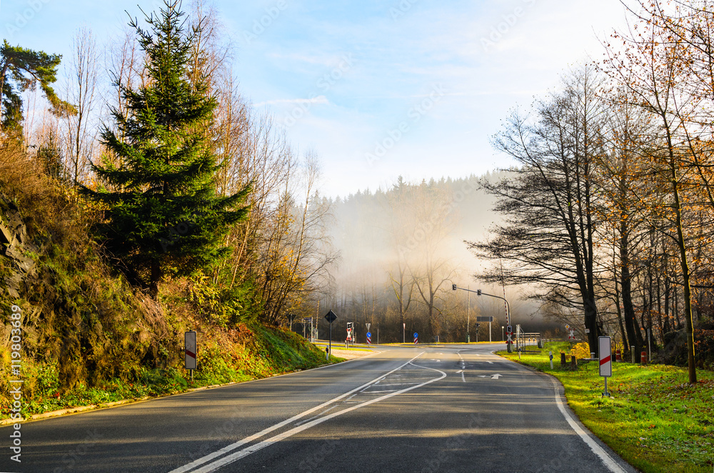 autumn road at sunny day in Germany autumn road at sunny day in Germany