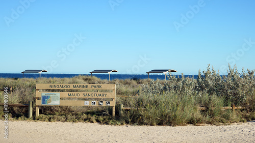 Ningaloo marine park photo