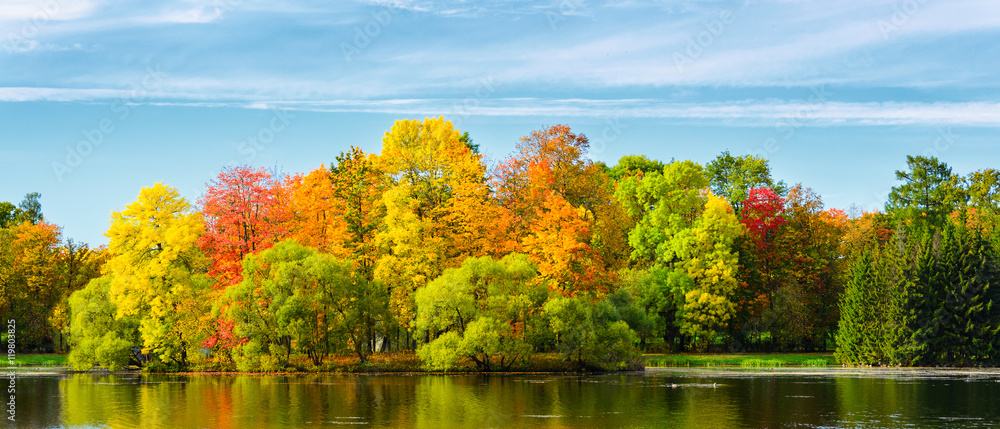 colorful autumn leaves on trees in park at sunset